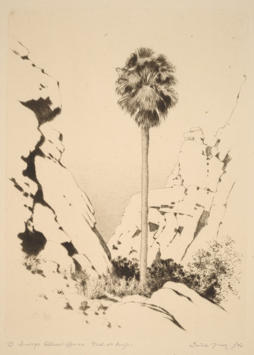 Palm Canyon (no.1)