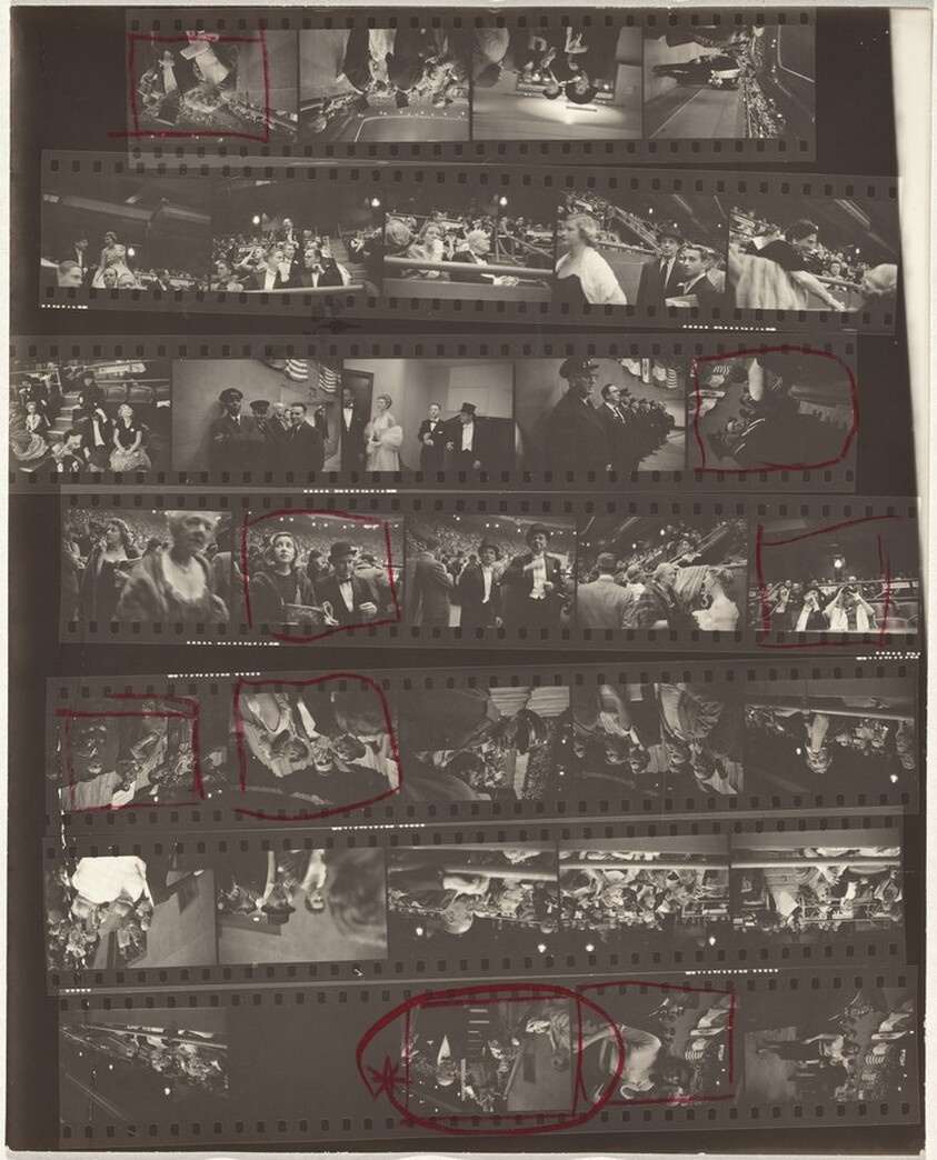 Horse show opening 4