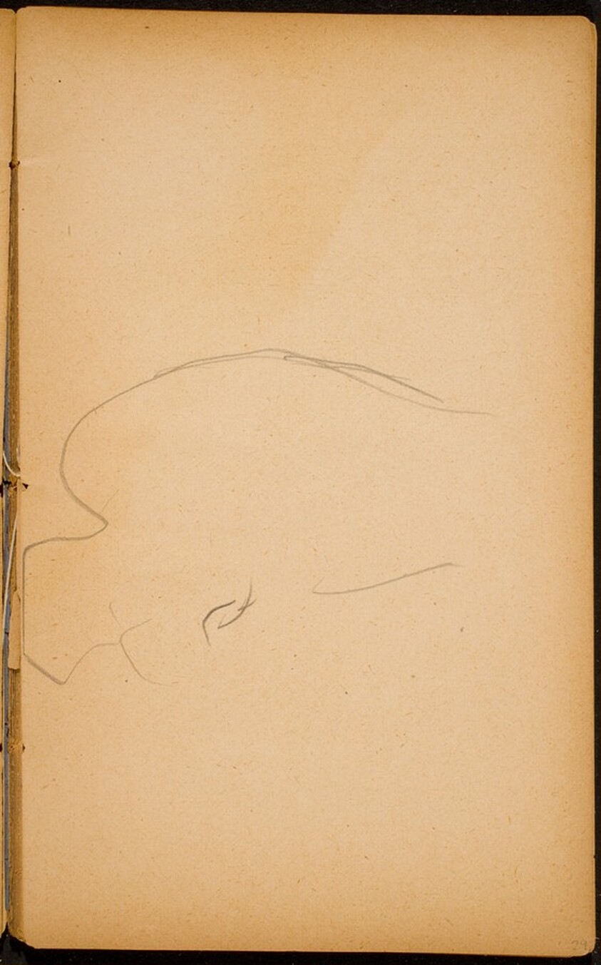 begonnene Elefantenstudie (Initial Sketch of an Elephant) [p. 29]