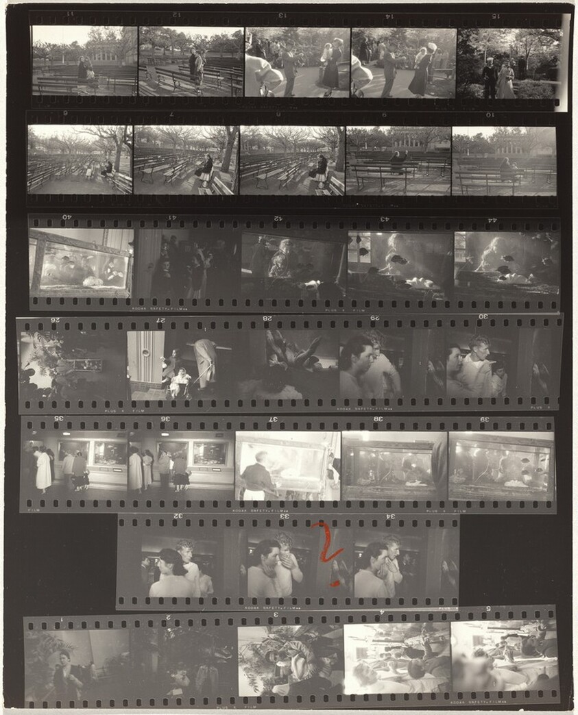 Guggenheim 586--San Francisco