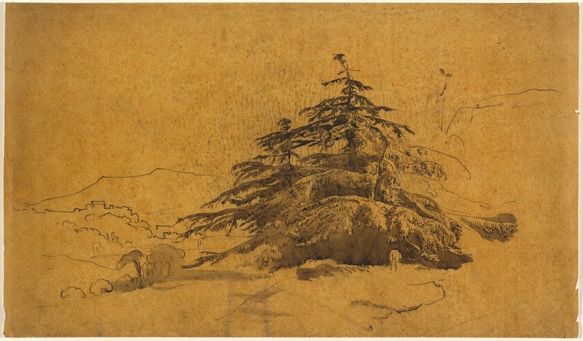 Study of Trees in a Landscape