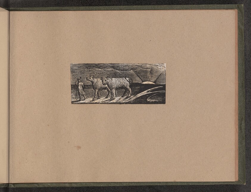 Return of the Shepherd