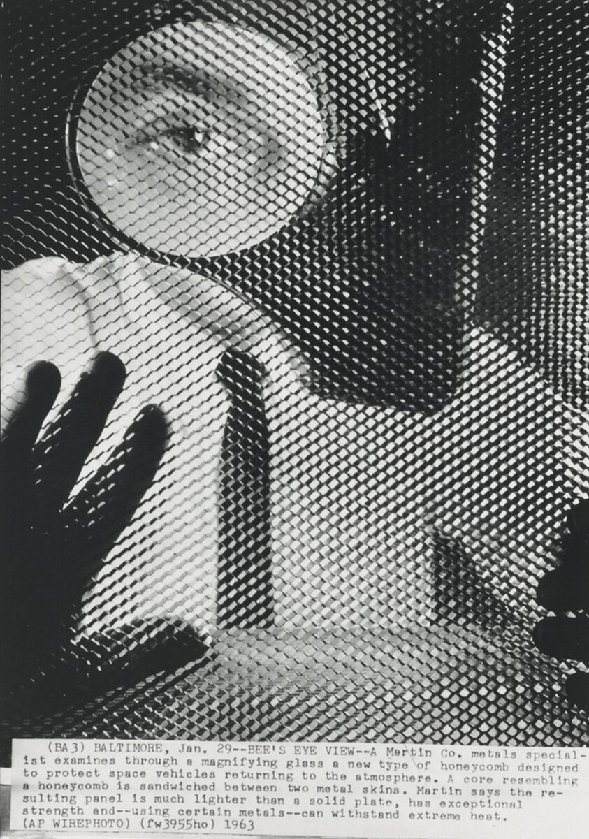 Title from caption on object: “Bee's Eye View”