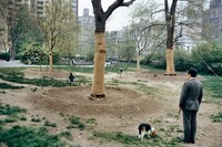 Central Park, New York City II 1973, Mitch Epstein, 1973, printed 2025