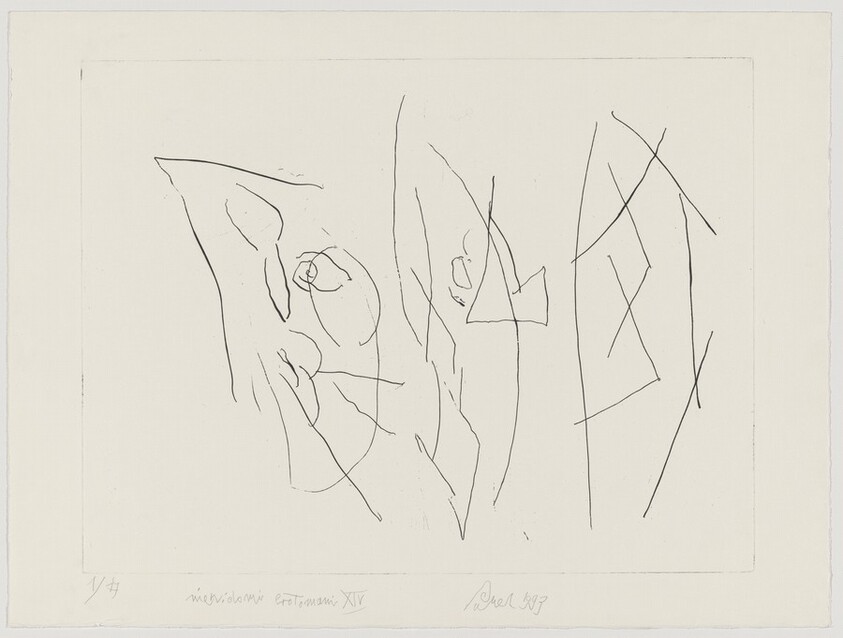 Blind Sex Maniacs XIV