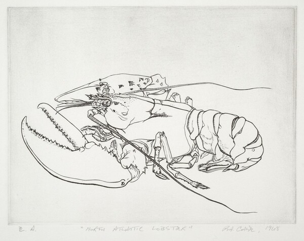 North Atlantic Lobster