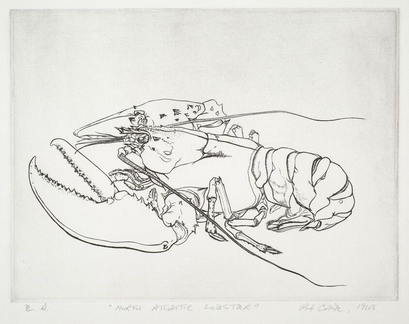 North Atlantic Lobster