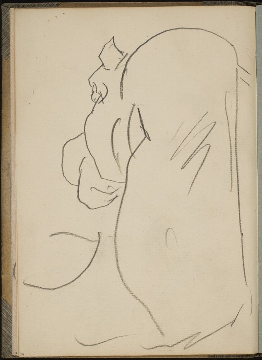 Nilpferd in Rückenansicht (Hippo from behind) [p. 24]