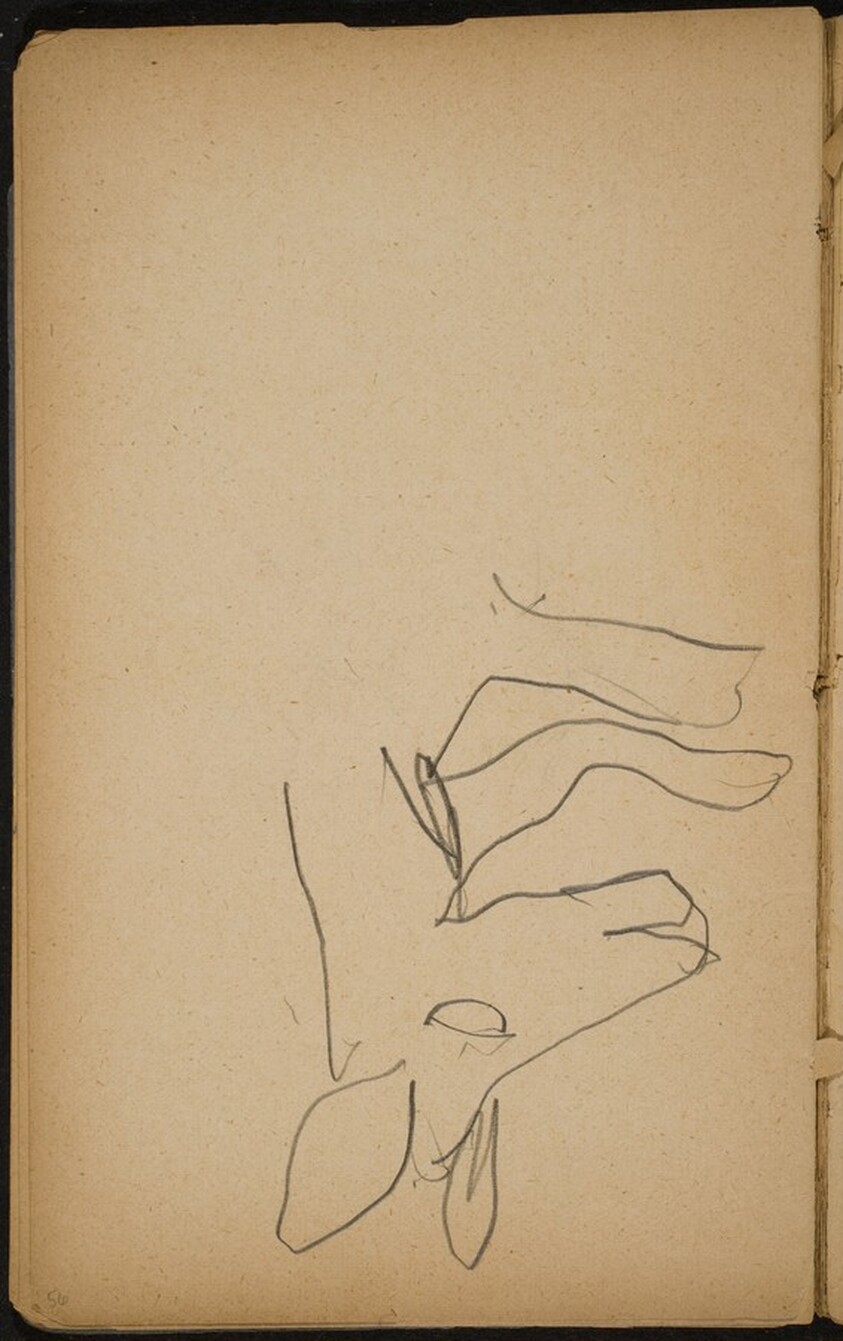 Detail eines Bärenkopfes (Detail of a Bear's Head) [p. 56]