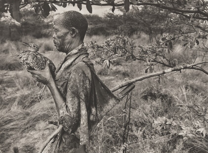 A San hunter holding a korhaan (Eupodotis melanogaster). This bird is captured using its eggs as bait and a snare made of twigs. Botswana.