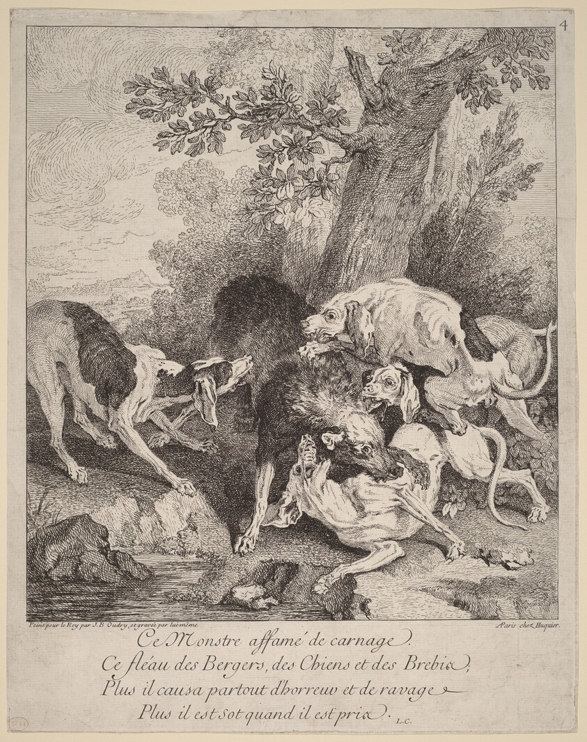 A Wolf Attacked by Dogs