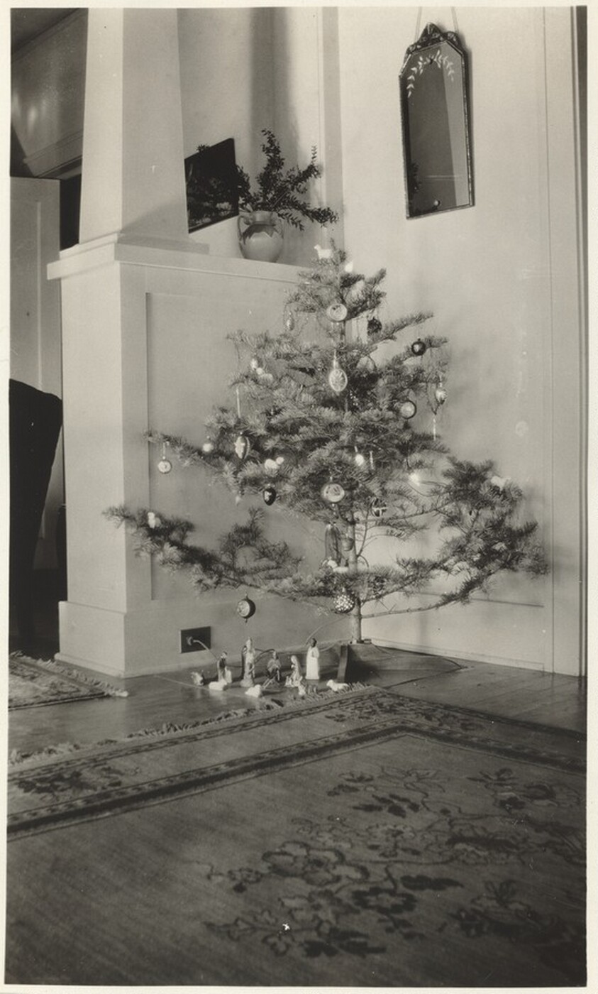Untitled (Christmas tree)