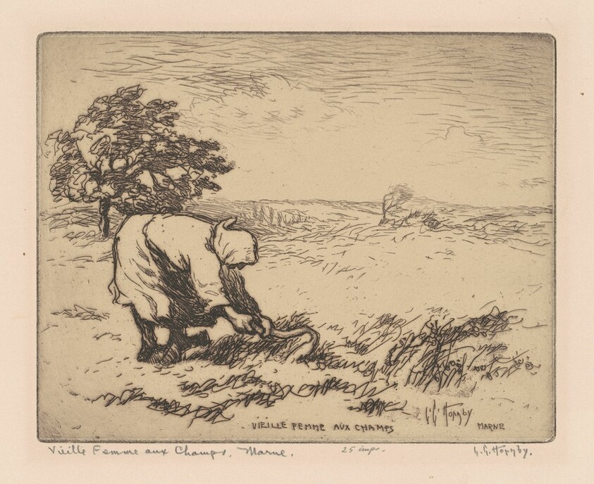 Vieille Femme aux Champs, Marne