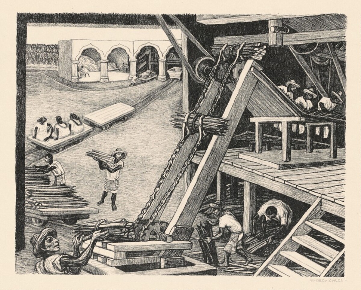 Hennequen Plant in Yucatán