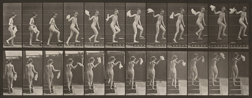 Plate Number 96. Ascending stairs, looking round and waving a handkerchief