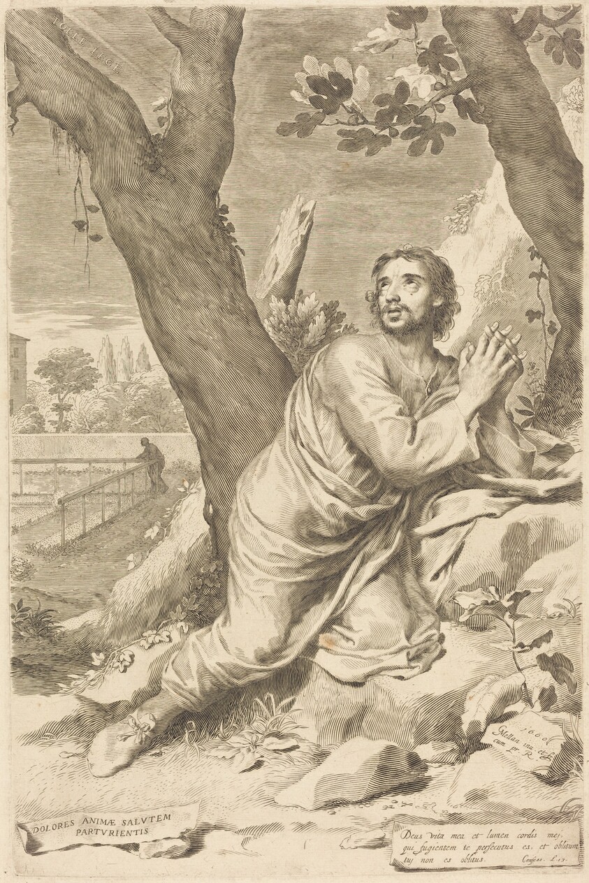 Saint Augustine