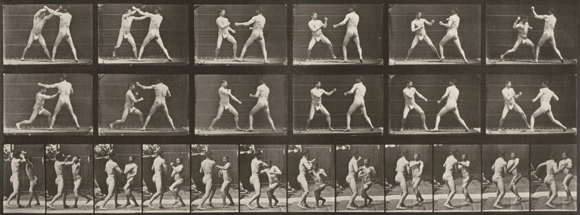 Plate Number 329. Boxing