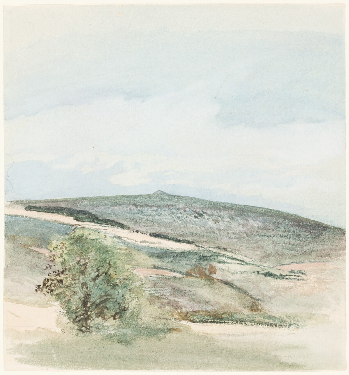 A Heath in Sussex