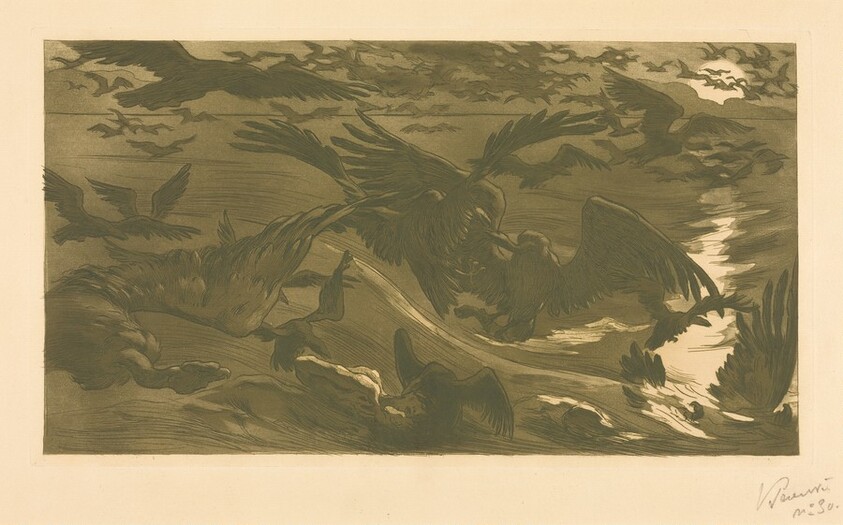 Birds of Prey (Oiseaux de proie)