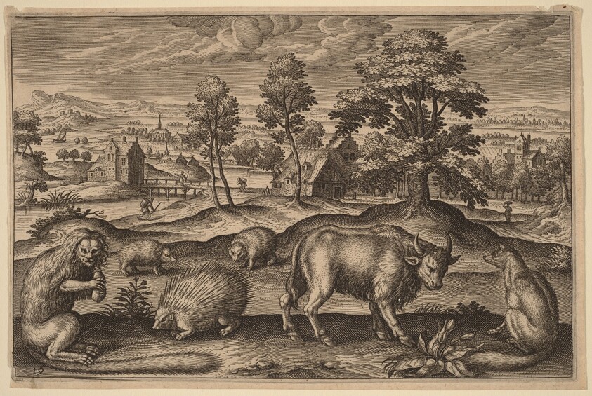 A Monkey, a Porcupine, Two Hedgehogs, a Buffalo and a Fox