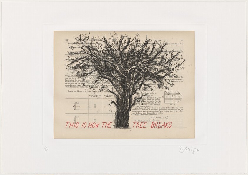 This is How the Tree Breaks