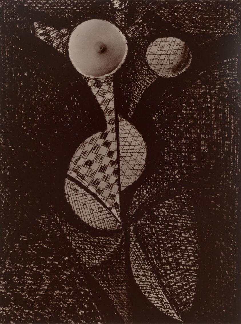 Femme-Fruit (Woman-Fruit), from Transmutations