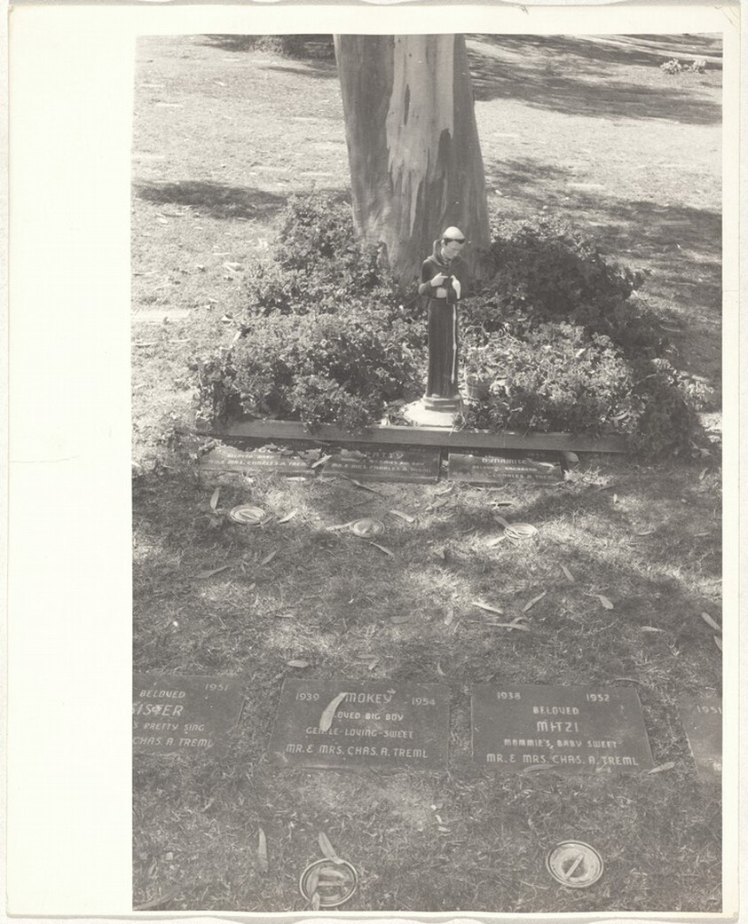 Pet cemetery--California