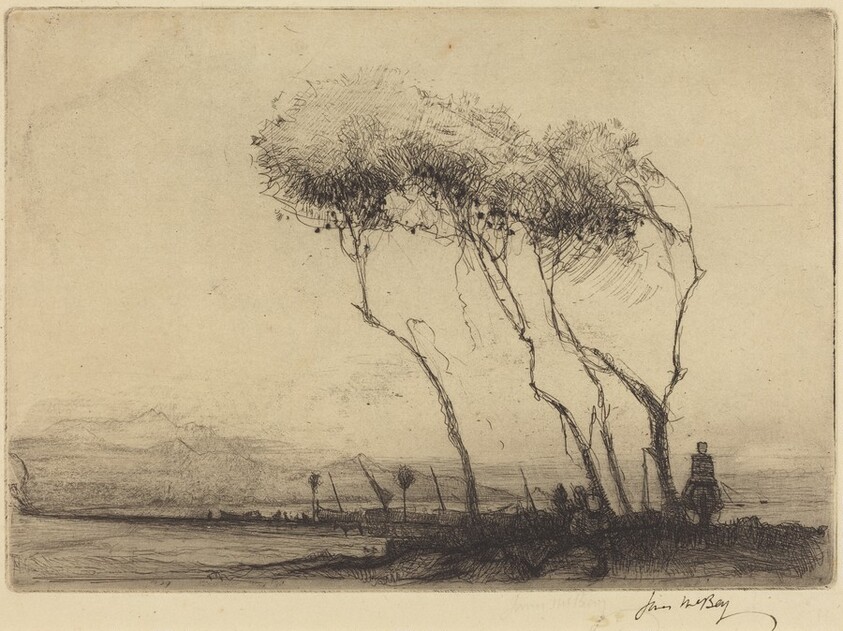 The Towy at Carmarthen