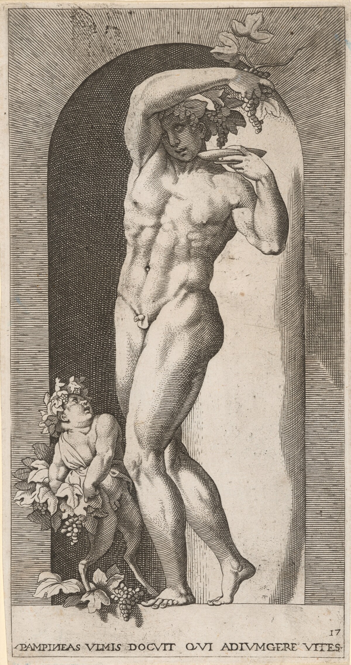 Bacchus in a Niche