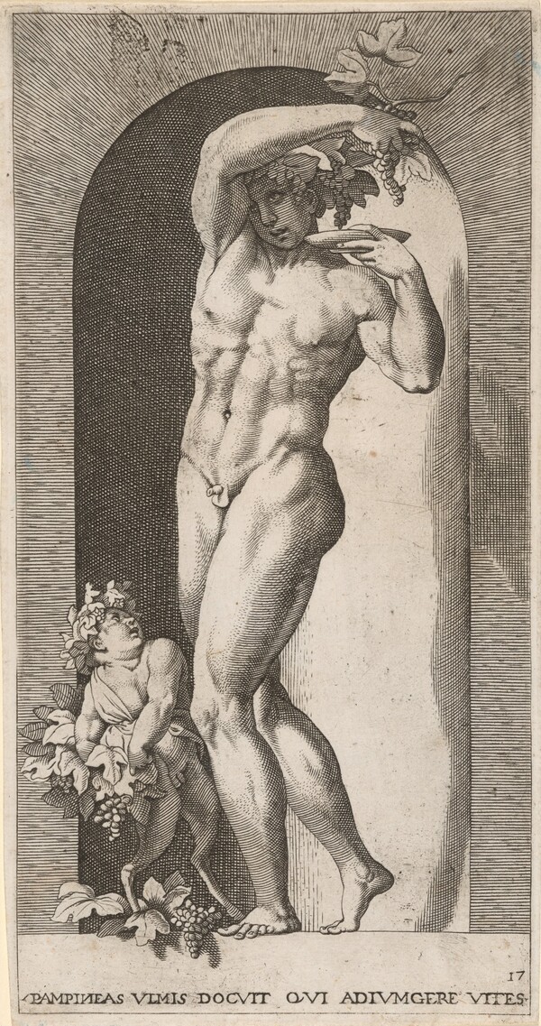 Bacchus in a Niche
