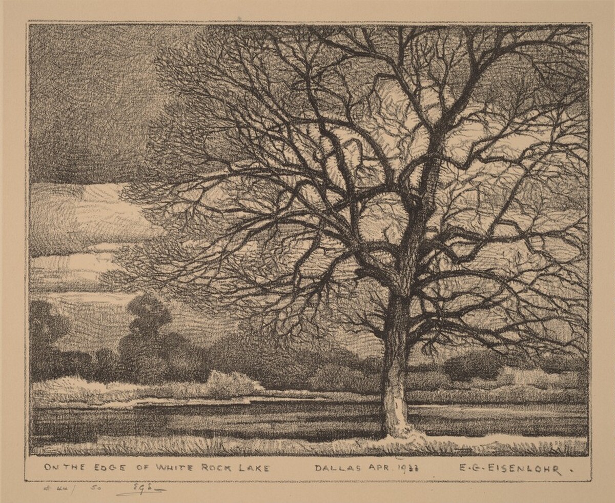 On the Edge of White Rock Lake