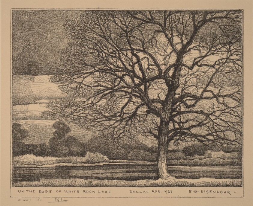 On the Edge of White Rock Lake