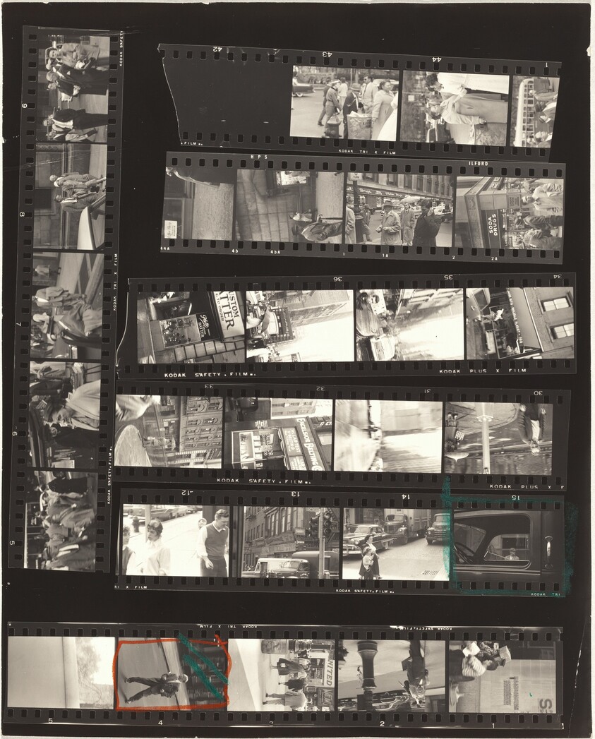 From the bus 25B/Lines of My Hand 78