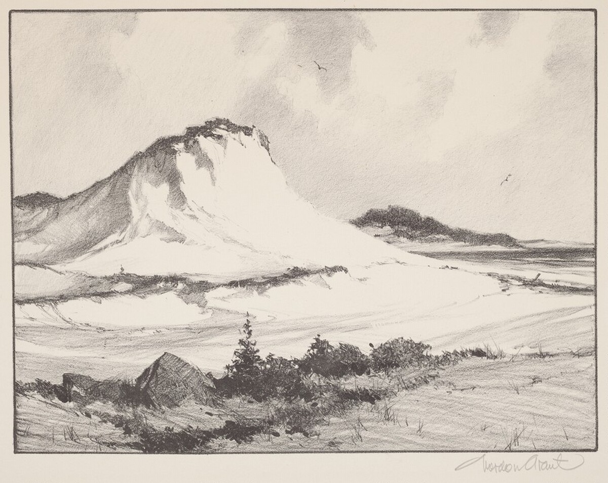 The Crested Dune