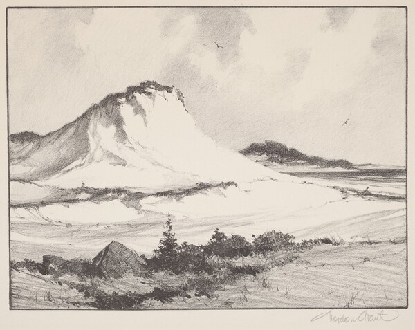 The Crested Dune