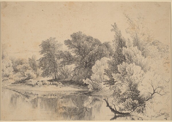 Pond Edge