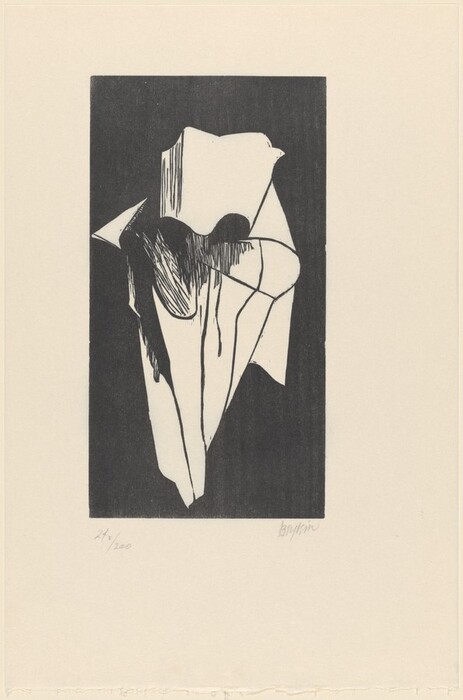 The image displays an assortment of angular and curved shapes intersecting with bold lines, all within a rectangular border. This creates an abstract composition reminiscent of folded fabric or a paper sculpture. The interplay of black and white areas suggests shadows and highlights, adding depth and dimension to the forms. The contrasting tones enhance irregular textures, invoking familiarity with everyday objects seen through an artistic lens.