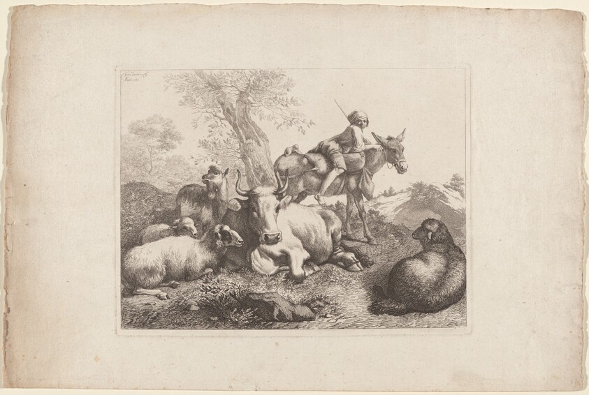 Boy on a Donkey Watching over a Group of Animals
