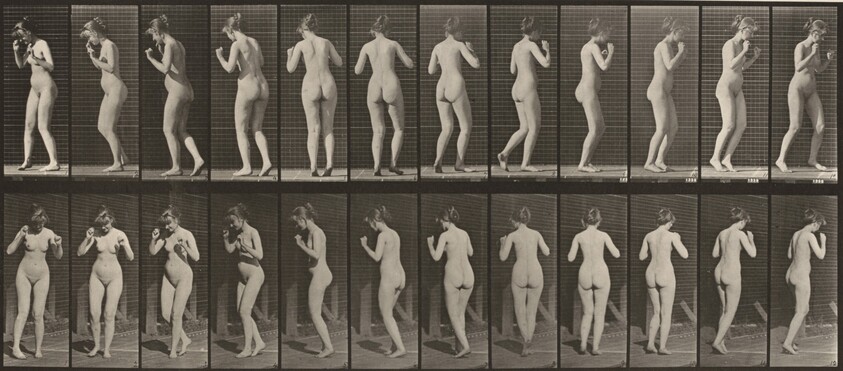 Plate Number 195. Dancing a waltz