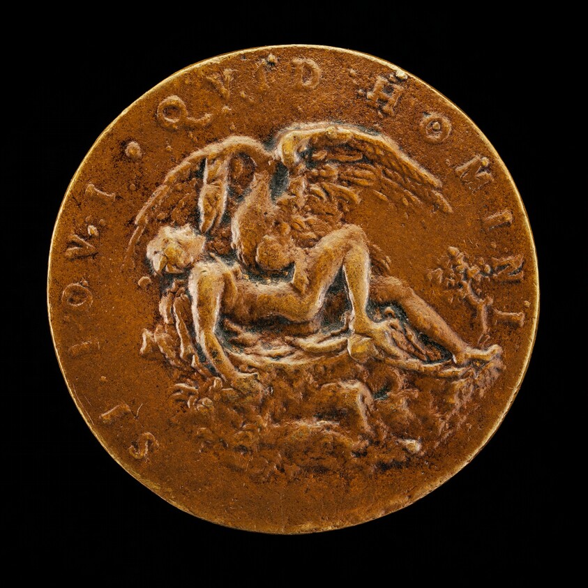 Leda and the Swan [reverse]