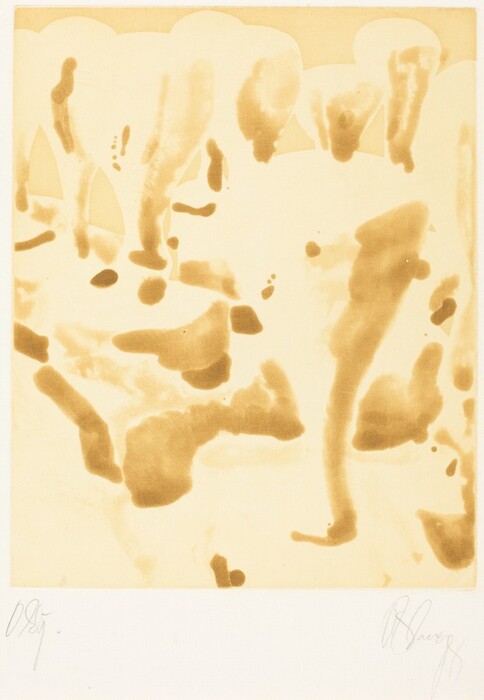 The image displays irregular, flowing shapes and blotches in a warm, sepia tone. The shapes are reminiscent of various forms like elongated drips of paint or wisps of smoke against a light background. Some areas suggest vague outlines resembling figures or floating objects, like cloud formations in a golden sky. The arrangement of shapes invites interpretation as an abstract portrayal of natural phenomena.
