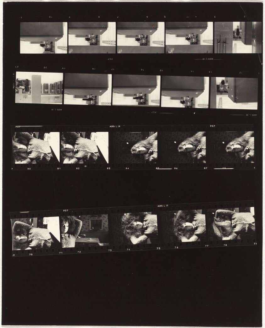 "New York Times" ideas no number