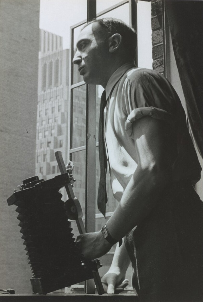 Self-Portrait in the Hotel Beaux-Arts