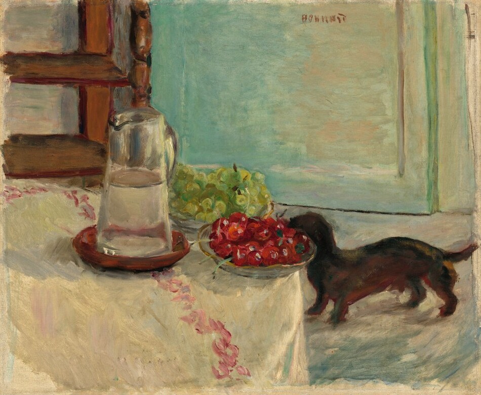 A small, long brown dog is partly hidden by a bowl of red cherries perched on the right edge of a table in this loosely painted, horizontal scene. In the light-filled interior, the table fills the lower left half of the composition. It is draped with a sand-colored cloth decorated with a diagonal band of rose-pink strokes that ends near the lower right. In the center of the table, a tall glass pitcher half filled with water rests in a shallow burgundy-red bowl. Next to the pitcher, to our right, one bowl piled with cherries sits in front of clusters of green grapes in another bowl. Beyond the table, a wooden piece of furniture with two open shelves fills the upper left of the composition. The dog stands on the right side facing our left in profile. It is chocolate brown with a short tail and stubby little legs, and its face is hidden by the cherries. The walls and floors of the room are painted in swipes of teal, peach, tan, blues, and grays. The artist has signed the upper center right in red, “Bonnard.”