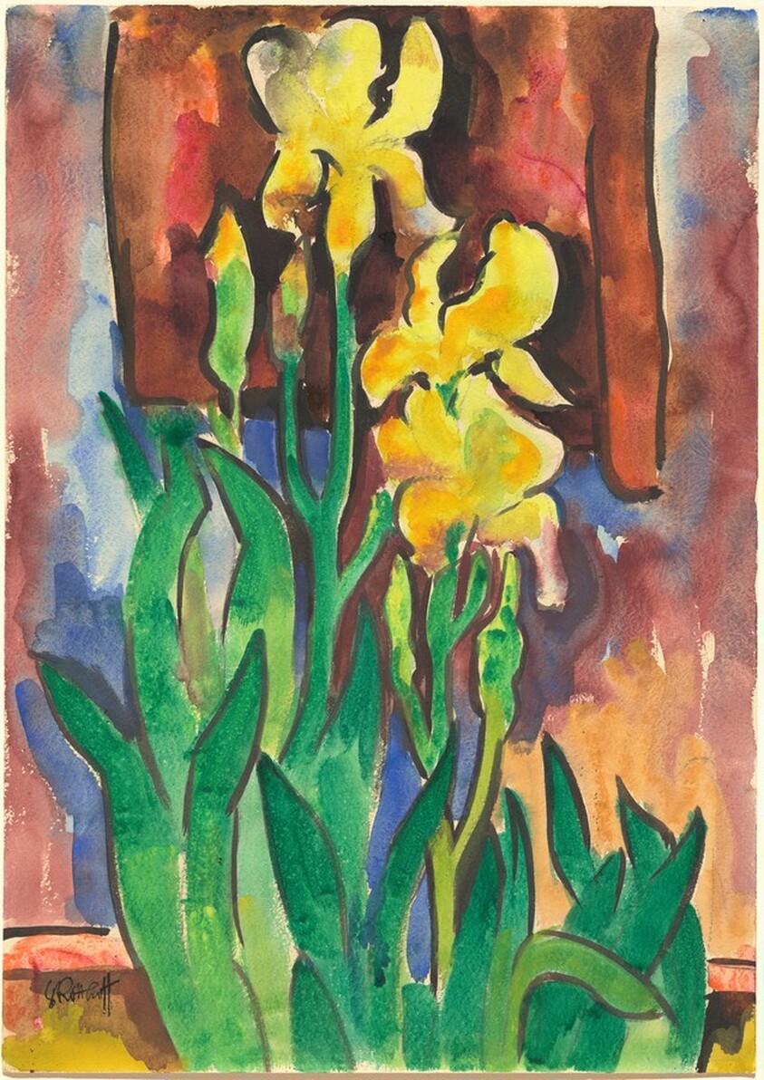 Yellow Iris