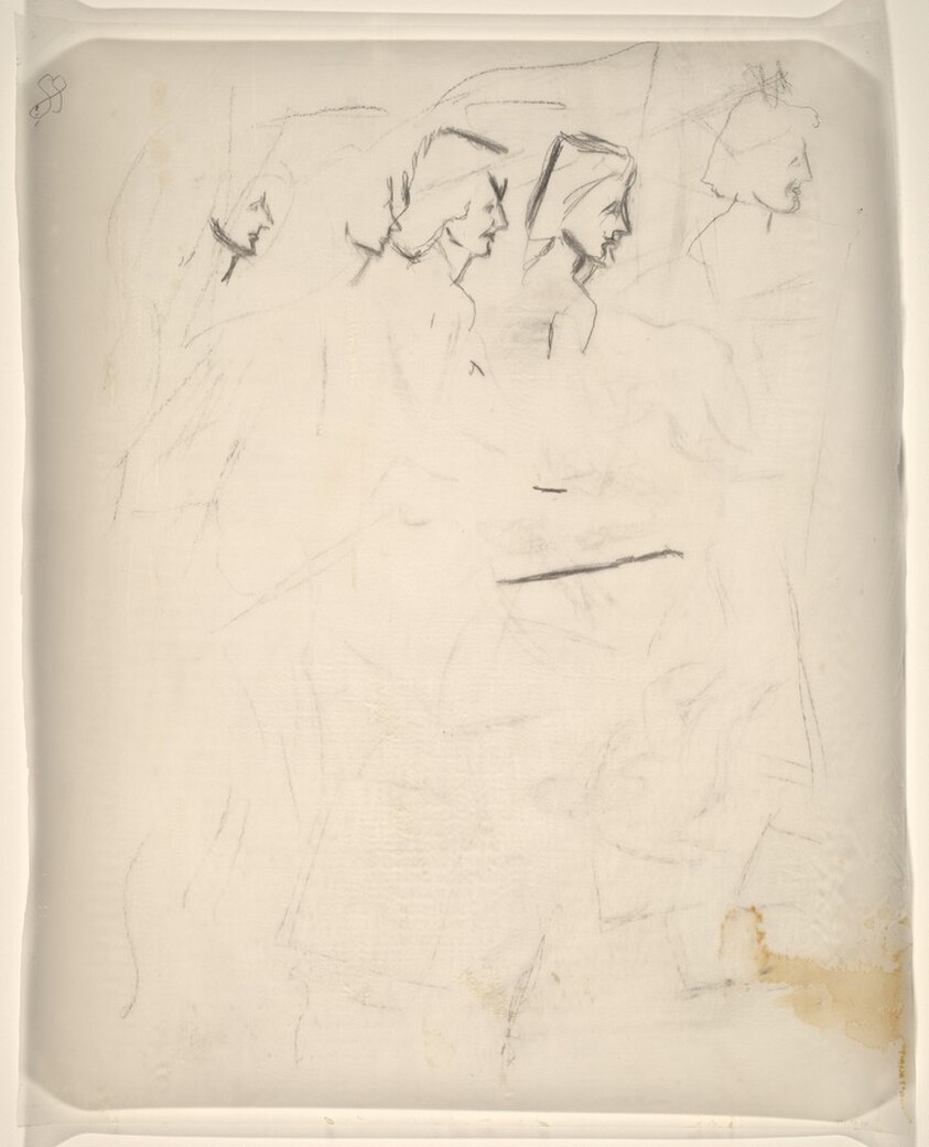 Female Heads in Profile