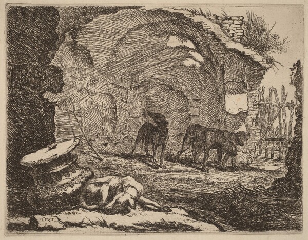 Four Dogs, One Sleeping beside a Capital