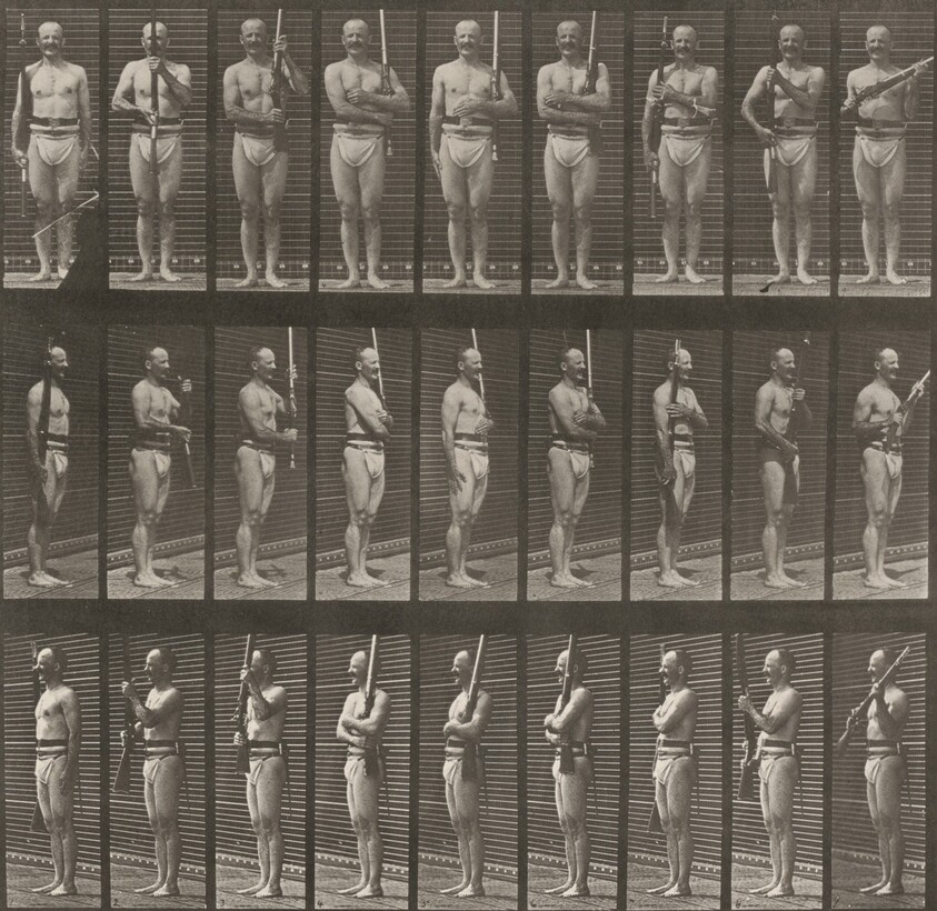 Plate Number 353. "Support arms" and "arms port"