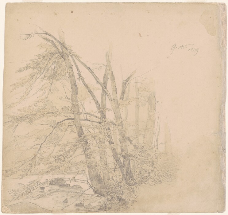 The image shows a cluster of trees with arching branches. The horizon is not visible, suggesting a forested area. The trees are depicted with pencil-like strokes, creating a textured look. The color palette is mainly gray. Some rocks and a stream are visible, adding to the natural setting.