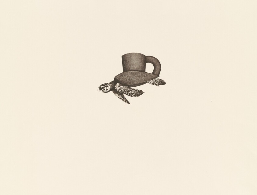 Turtle Cup